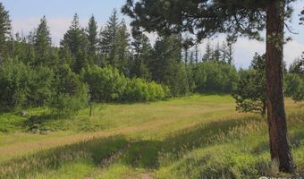 387 OLD CAMP Rd, Bellvue, CO 80512