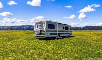 17 Gray Ln, Cascade, ID 83611