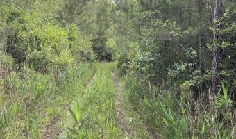 0 Highway 31, Bay Minette, AL 36507