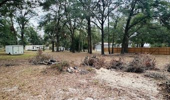 4232 47th Pl, Bell, FL 32619