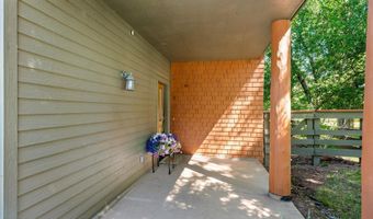 711 Evans Ct, Basalt, CO 81621