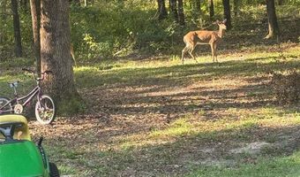 24415 NW 90TH Pl, Alachua, FL 32615