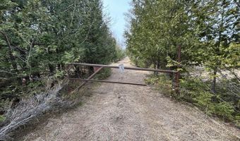 5280 Cathro Rd, Alpena, MI 49707