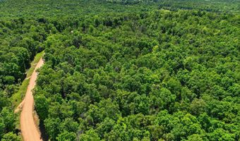 County Road 101, Alton, MO 65606