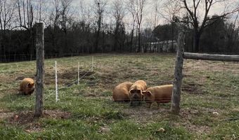 1383 HogBack Rd, Albany, KY 42602