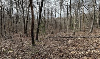 Highway 105, Baldwin, GA 30511