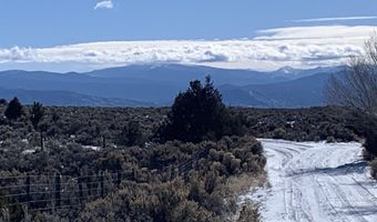 Mariposa, Arroyo Seco, NM 87514