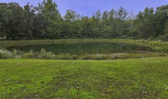 1117 County Rd 1067, Auxvasse, MO 65231