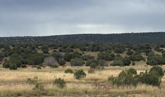 N8485, Concho, AZ 85924