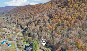 480 Paint Fork Rd, Barnardsville, NC 28709