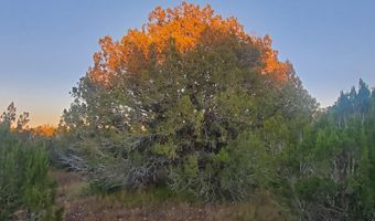 1 COUNTY ROAD N8155, Concho, AZ 85924