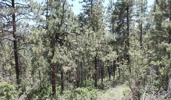 190 Jackalope Dr, Bayfield, CO 81122