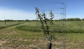 TBD Lot 2 Wild West Place, Belle Fourche, SD 57717
