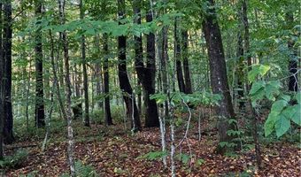 9822 Culver Brook Rd, Alder Creek, NY 13309