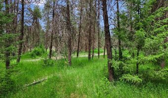 NKA Rock Springs Rd Lot 2A, Athol, ID 83801