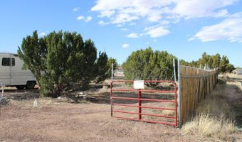 17 Bonita Ln, Concho, AZ 85924