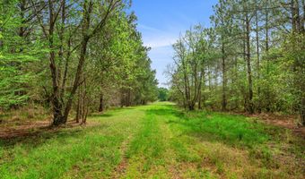 91801 U. S. Highway 98, Beaumont, MS 39423