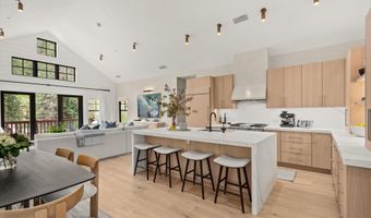 507 W Main St C-201, Aspen, CO 81611