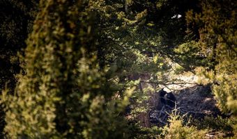 Trout Pond Lane lot 7, Big Sky, MT 59716