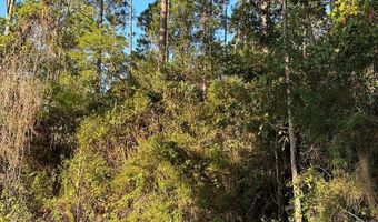 113 Mary Catherine Ln, Apalachicola, FL 32320