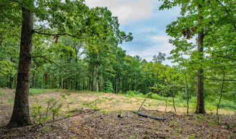 100 Block SPANISH MINE, Jessieville, AR 71909