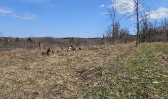 295 Shellstone Rd, Amsterdam, NY 12010