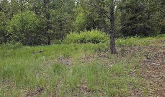 23 Sawtooth Loop, Cascade, ID 83611