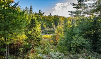 Luke Road, Amasa, MI 49903