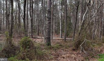 20767 ABELL Rd, Abell, MD 20606