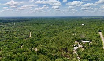 SW Nassau Ave, Arcadia, FL 34266