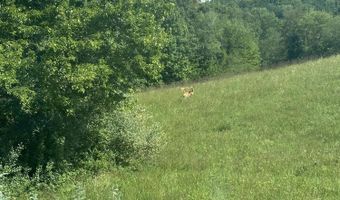 320 Tyree Rd, Annville, KY 40402
