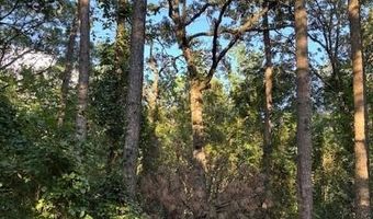 8517 Wildwood Trl, Altus, AR 72821