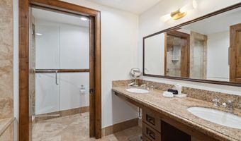 415 E Dean St # 47 Weeks 51/52, Aspen, CO 81611