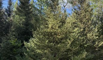 50 Acres Herron Rd, Alpena, MI 49707