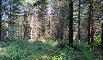 West Tunnel, Banks, OR 97106
