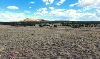 1 County Road 5088, Concho, AZ 85924