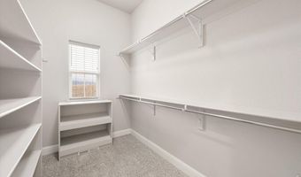 2611 Prairie Flax St, Berthoud, CO 80513