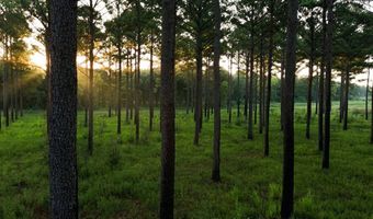 Rockmine Rd Arlington GA 39813, Arlington, GA 39813