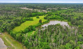 Vine Drive, Brandon, MS 39047