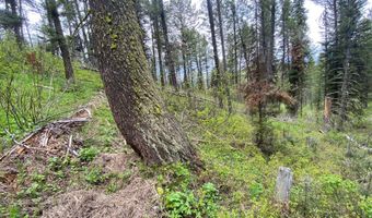 400 GROVER DRY FARM Rd, Afton, WY 83110