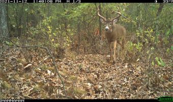271 18 Acres Zwettler/Foster Rd, Arena, WI 53503