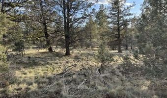 Canvasback Dr, Bonanza, OR 97623
