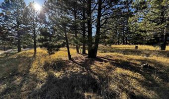 1290 Torrey Pines Ln, Angel Fire, NM 87710