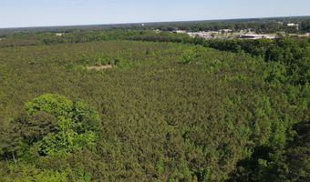 Colice Hall Lane, Ahoskie, NC 27910