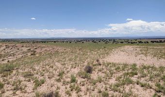 River Meadows Ranch lot 214, Concho, AZ 85924