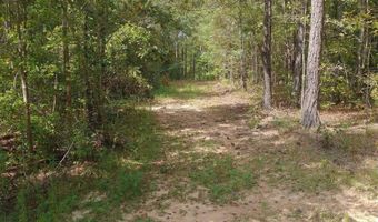 334 SERENITY Ln Lot 1, Alpine, AL 35014