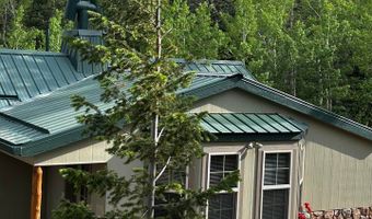 131 County Road 90, Allenspark, CO 80510