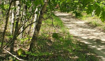 40 AC Werth Rd, Alpena, MI 49707