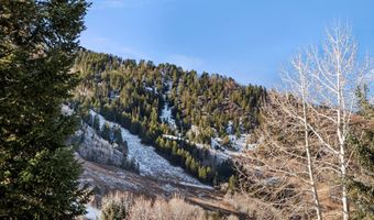 1024 E Cooper Ave 1, Aspen, CO 81611