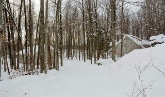 8600 TUCKER Rd, Almira, MI 49650